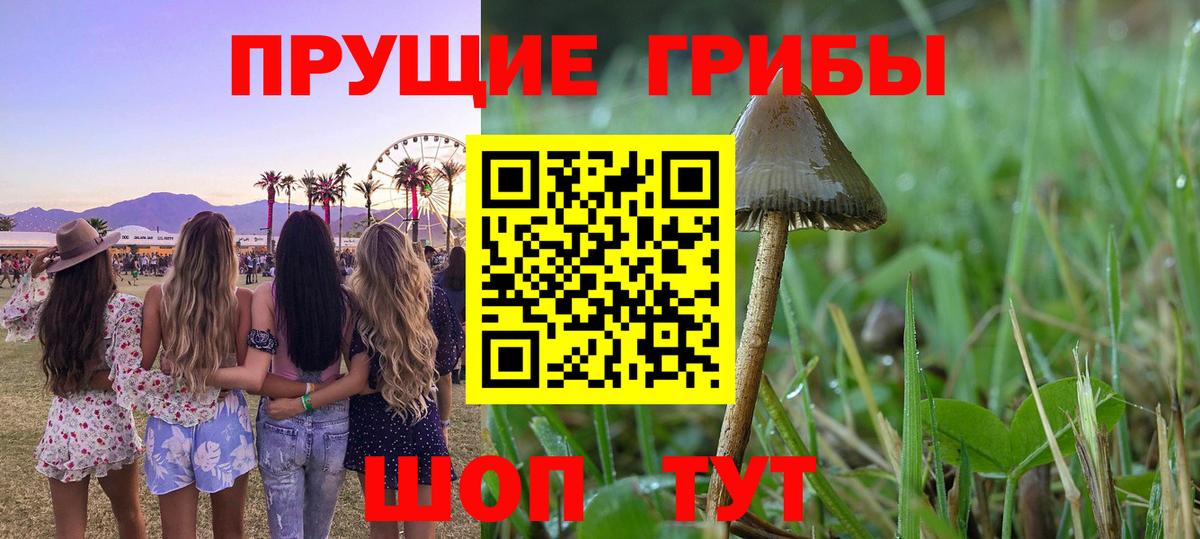 Галлюциногенные грибы мицелий Прокопьевск
